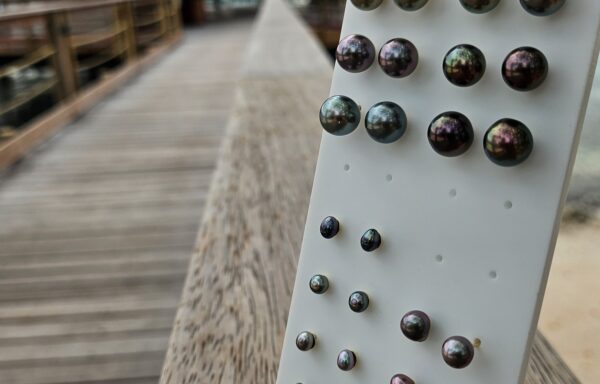 Boucles d&rsquo;oreilles perles en or 18k